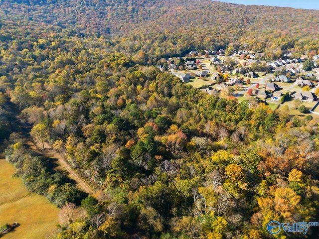 13 Townsend Drive NE, Huntsville, AL 35811