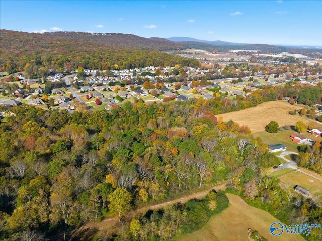 13 Townsend Drive NE, Huntsville, AL 35811