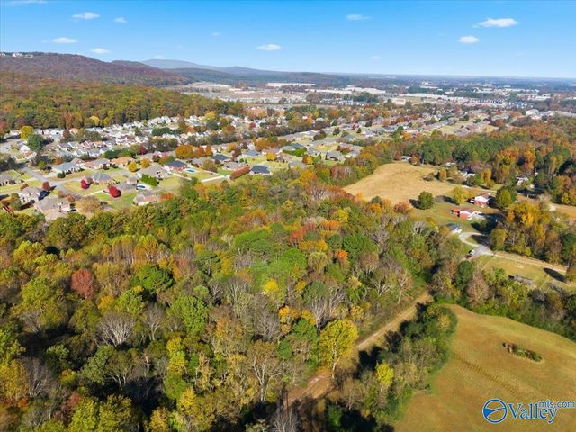 13 Townsend Drive NE, Huntsville, AL 35811