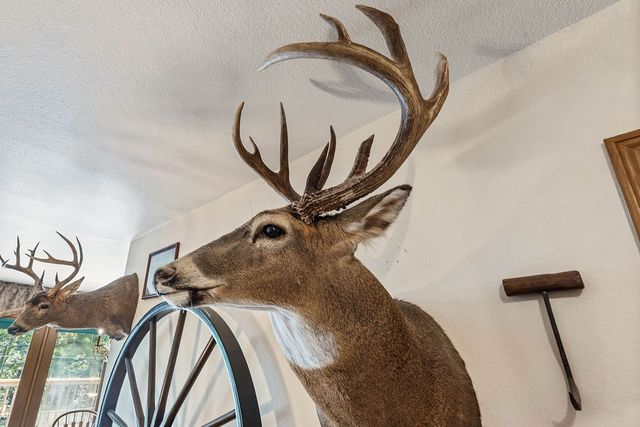 23 Pack Road, Noel, MO 64854