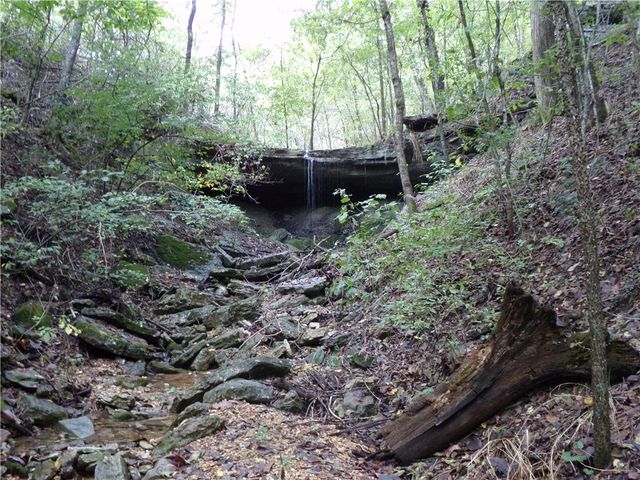 23 Pack Road, Noel, MO 64854