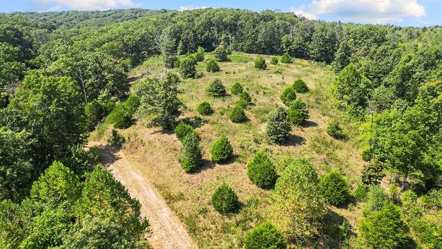 23 Pack Road, Noel, MO 64854