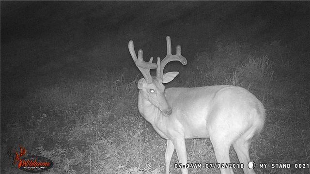 23 Pack Road, Noel, MO 64854