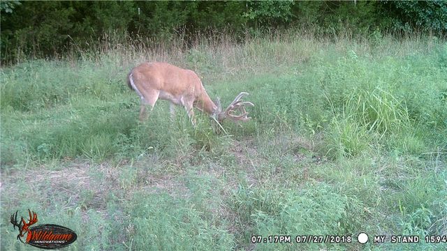 23 Pack Road, Noel, MO 64854