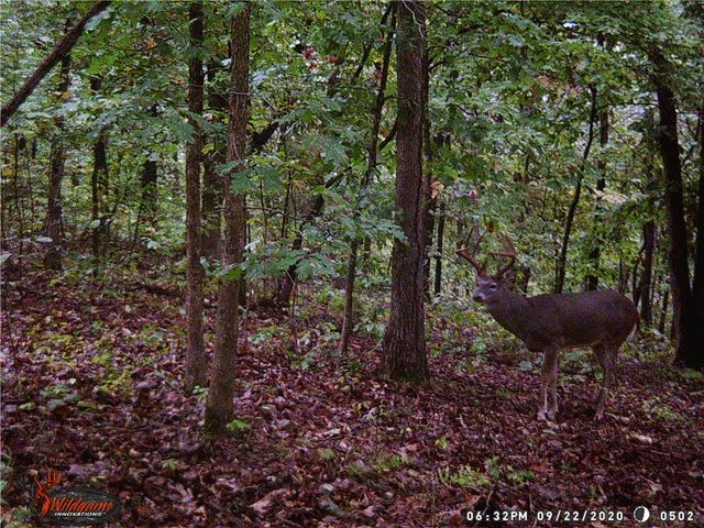 23 Pack Road, Noel, MO 64854