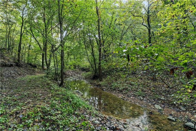 23 Pack Road, Noel, MO 64854