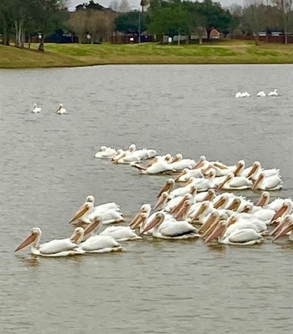 1707 Magnolia Lake, Richmond, TX 77406