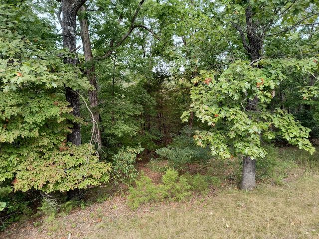 27 Conklins Corner, Theodosia, MO 65761