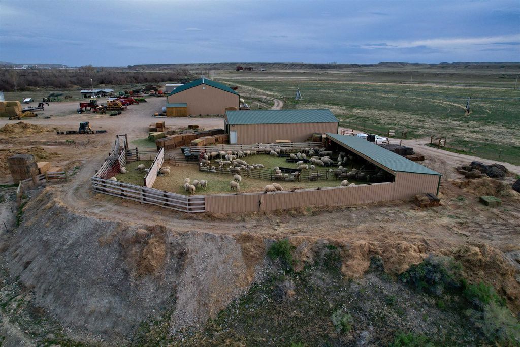 3141 Road 26 1/2, Greybull, WY 82426 photo 4