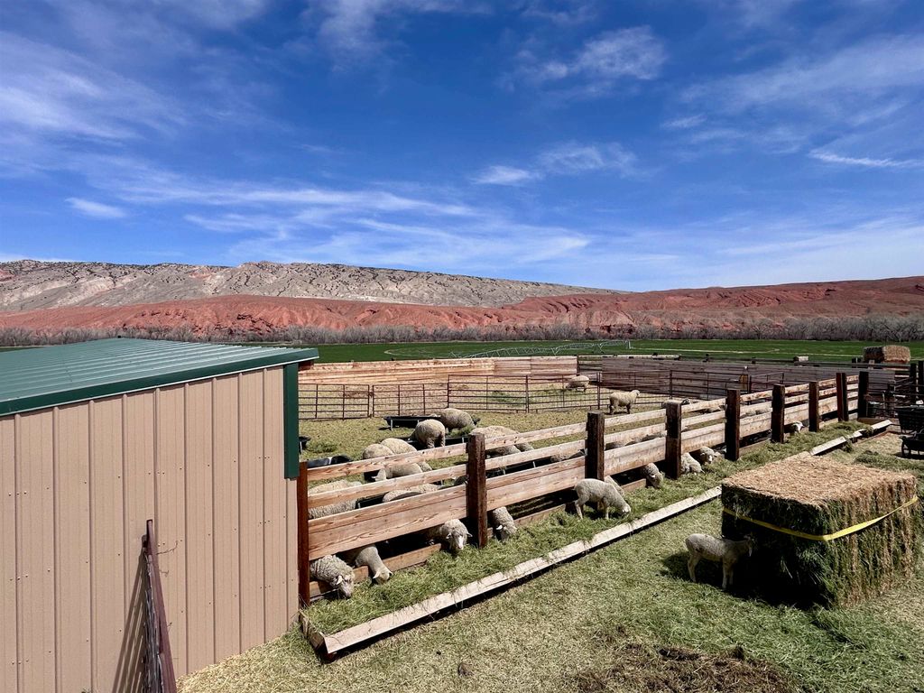 3141 Road 26 1/2, Greybull, WY 82426 photo 73