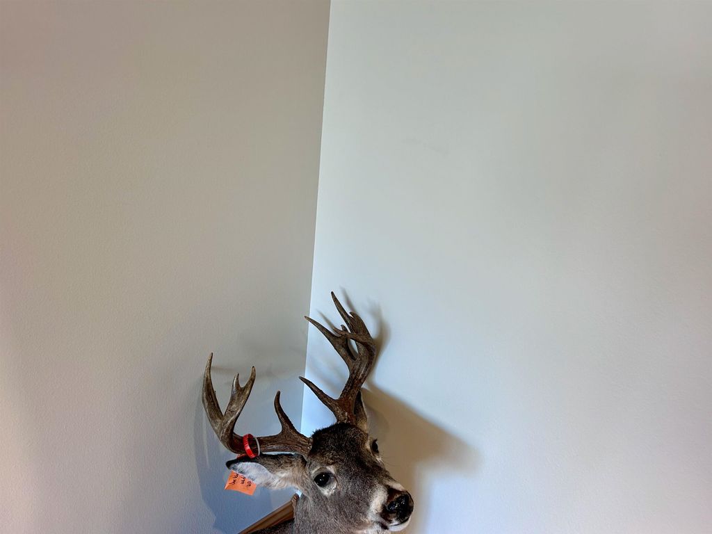 3141 Road 26 1/2, Greybull, WY 82426 photo 86