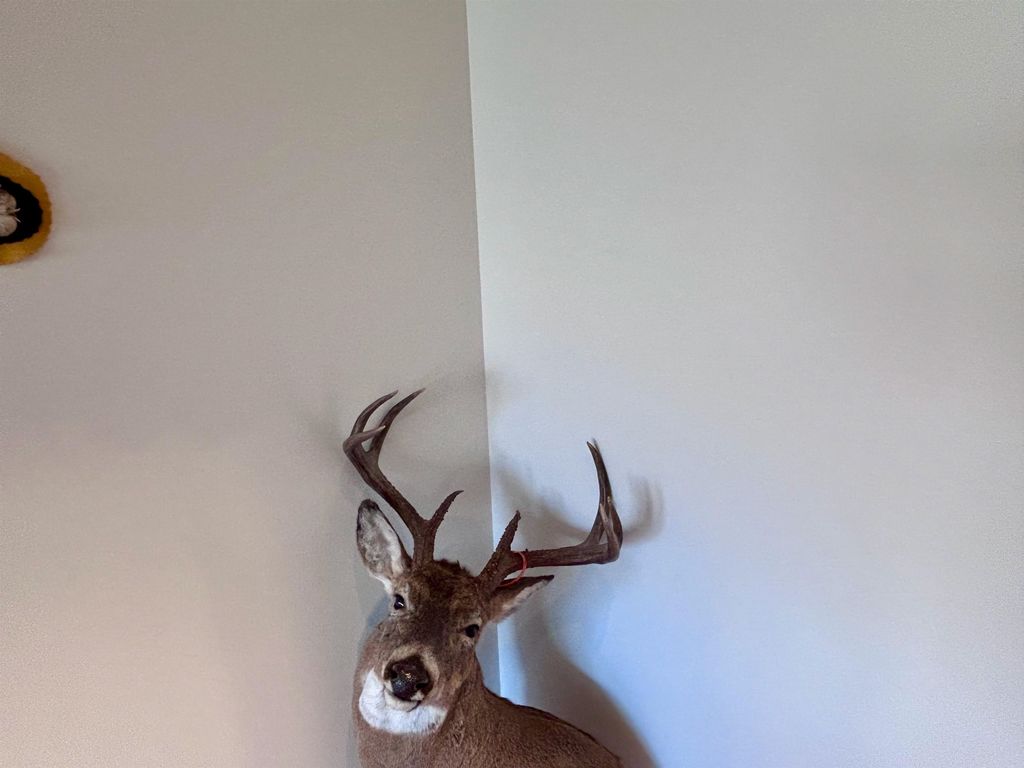 3141 Road 26 1/2, Greybull, WY 82426 photo 87