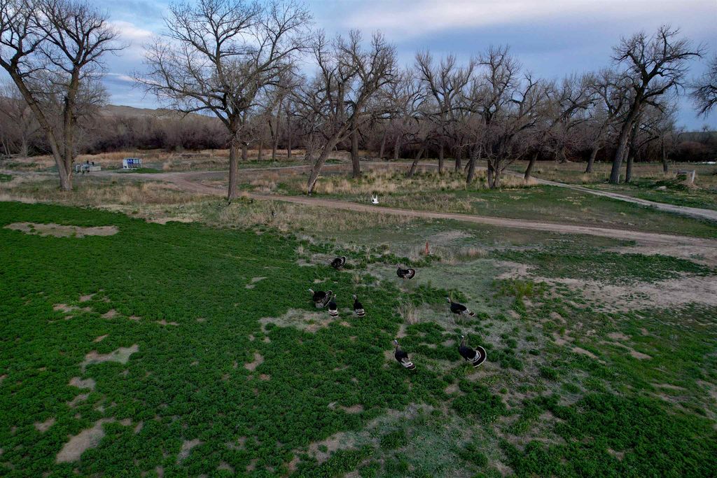 3141 Road 26 1/2, Greybull, WY 82426 photo 89