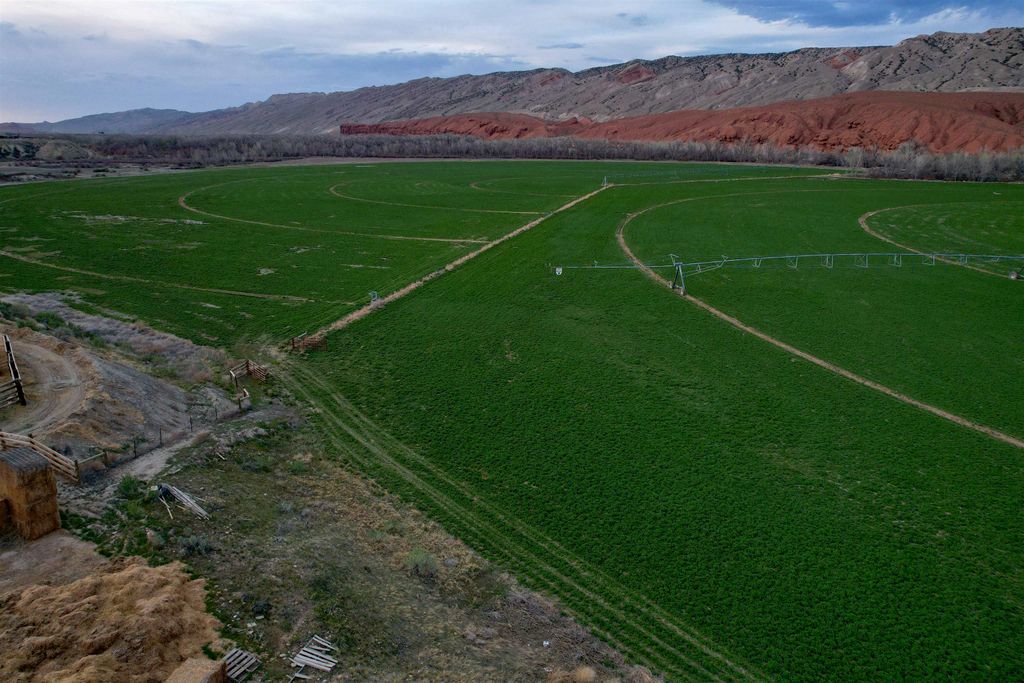 3141 Road 26 1/2, Greybull, WY 82426 photo 90