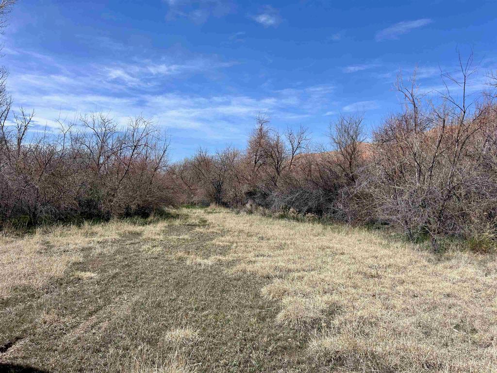 3141 Road 26 1/2, Greybull, WY 82426 photo 91