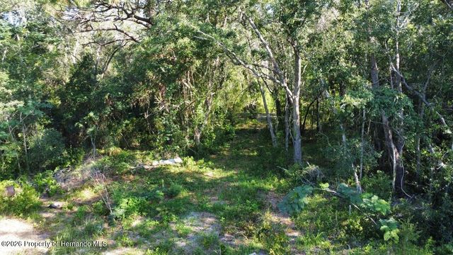 0 Little Ranch Road, Shady Hills, FL 34610