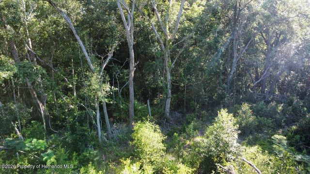 0 Little Ranch Road, Shady Hills, FL 34610