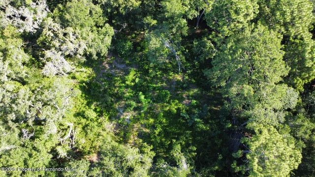0 Little Ranch Road, Shady Hills, FL 34610