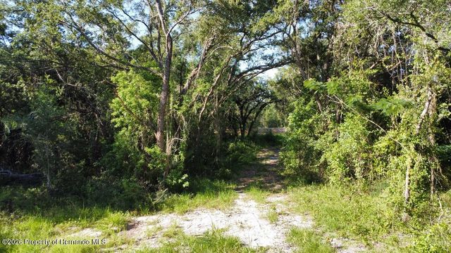0 Little Ranch Road, Shady Hills, FL 34610