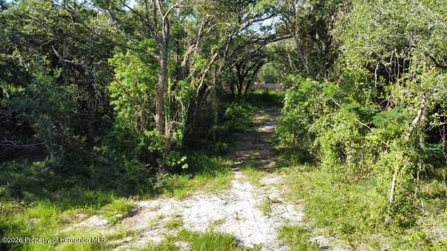0 Little Ranch Road, Shady Hills, FL 34610