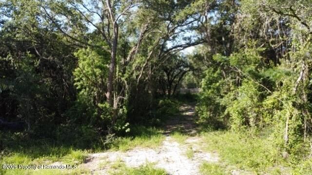 0 Little Ranch Road, Shady Hills, FL 34610