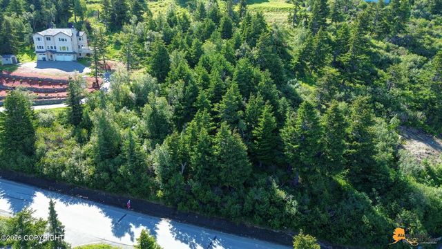 L5 Mountainside Village Drive, Anchorage, AK 99516