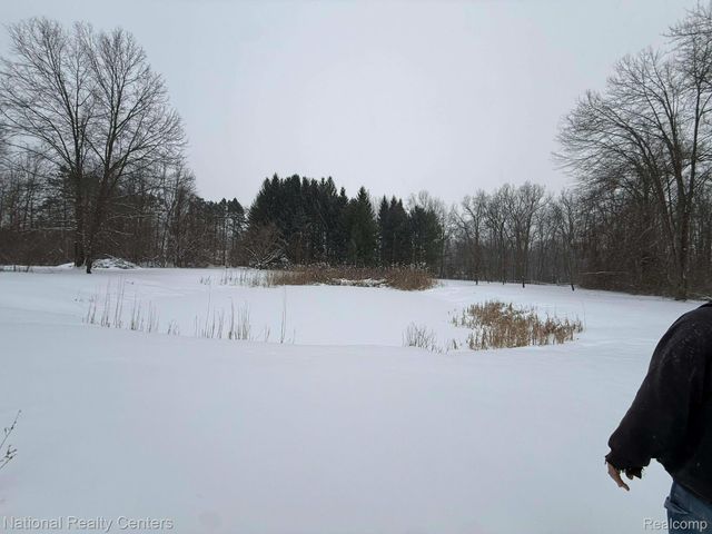 27125 Delos Road, Belleville, MI 48164