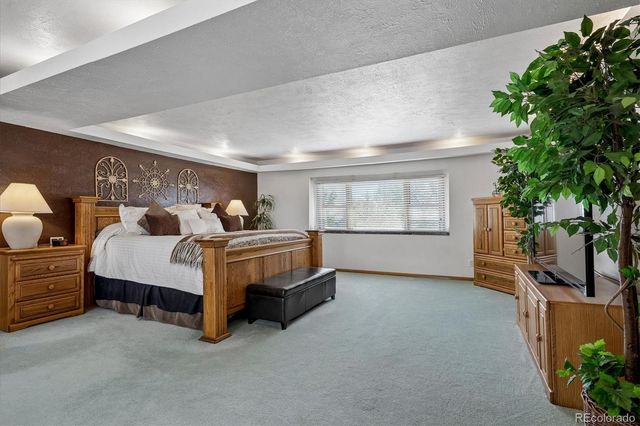 233 Ash Avenue, Castle Rock, CO 80104