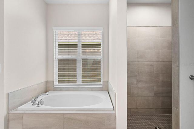 11502 TANNER RIDGE PLACE, Riverview, FL 33569