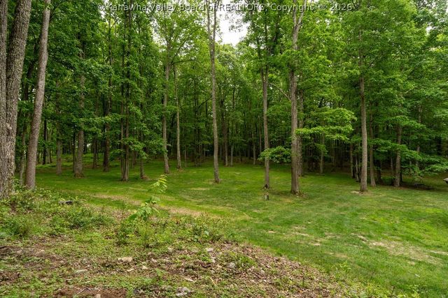 413 Red Willow Road, Cool Ridge, WV 25825