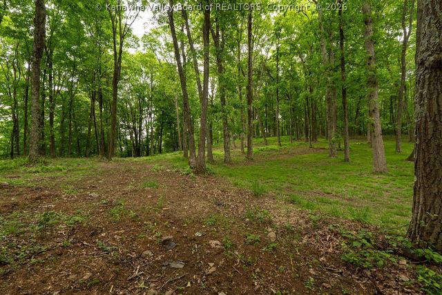413 Red Willow Road, Cool Ridge, WV 25825