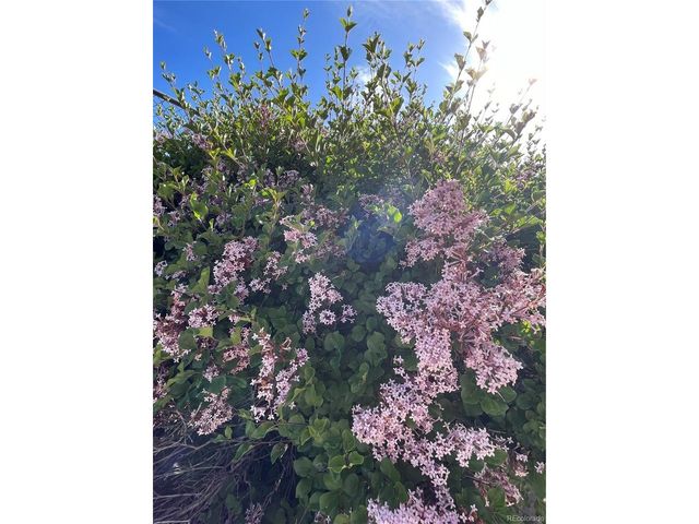 3322 S Ammons St 7-206, Lakewood, CO 80227