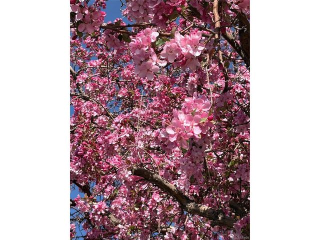 3322 S Ammons St 7-206, Lakewood, CO 80227