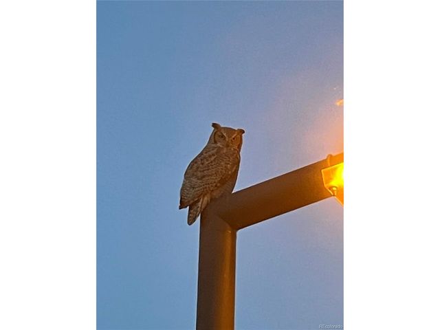 3322 S Ammons St 7-206, Lakewood, CO 80227