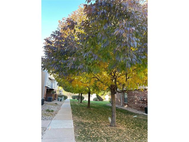 3322 S Ammons St 7-206, Lakewood, CO 80227