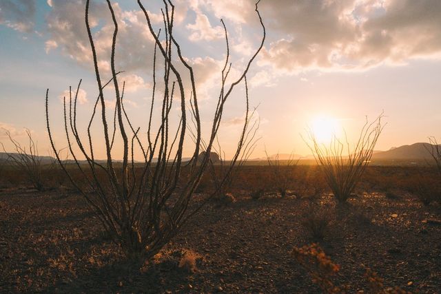 52109 Hwy 118, Terlingua, TX 79852