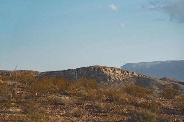 52109 Hwy 118, Terlingua, TX 79852