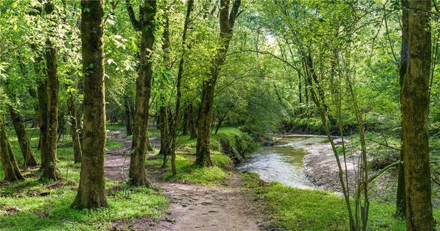 320 Sea Holly Circle, Roswell, GA 30076