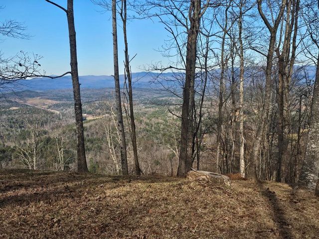 38 Trophy Buck Point, Murphy, NC 28906