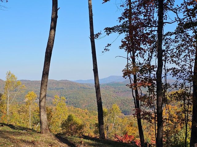 38 Trophy Buck Point, Murphy, NC 28906