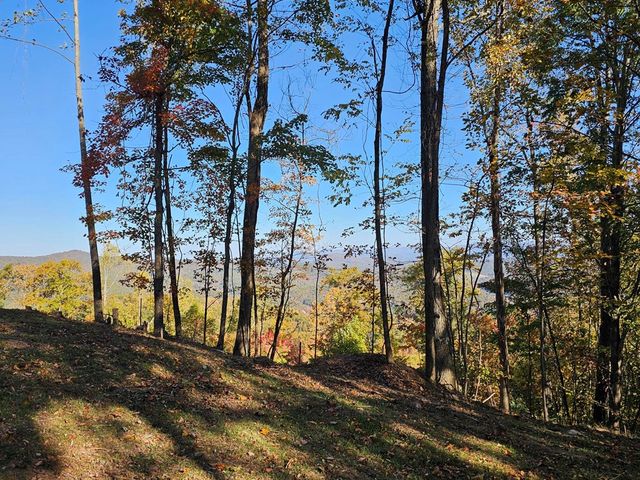 38 Trophy Buck Point, Murphy, NC 28906