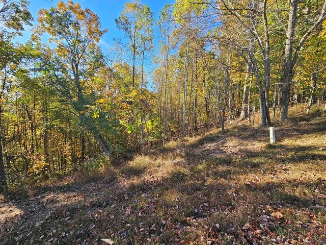 38 Trophy Buck Point, Murphy, NC 28906