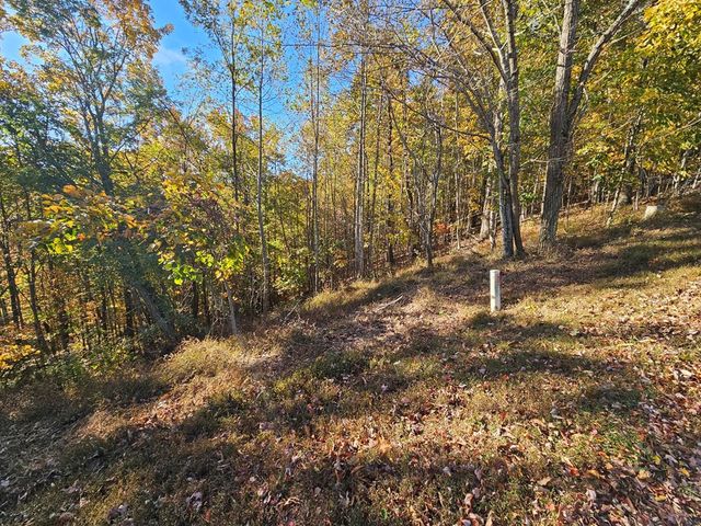 38 Trophy Buck Point, Murphy, NC 28906