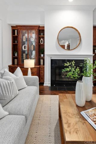 523 Samuel Court, Encinitas, CA 92024