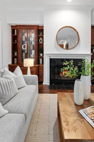 523 Samuel Court, Encinitas, CA 92024