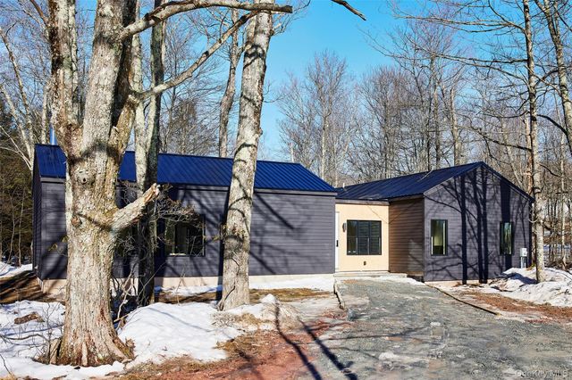 305 Old Danzer Road, Livingston Manor, NY 12758