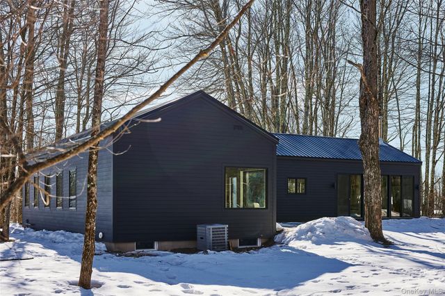 305 Old Danzer Road, Livingston Manor, NY 12758