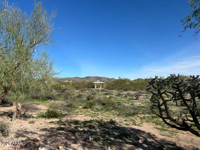 18182 E El Viejo Desierto --, Gold Canyon, AZ 85118