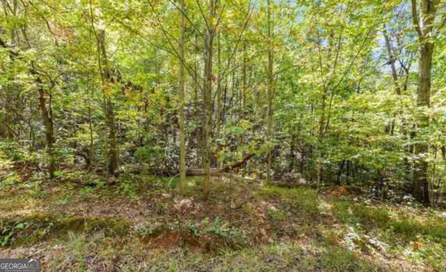 LOT 24 Luther Palmer Road, Cleveland, GA 30528