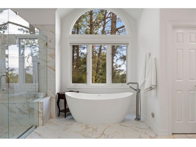 120 Silver Leaf Way, Castle Rock, CO 80108